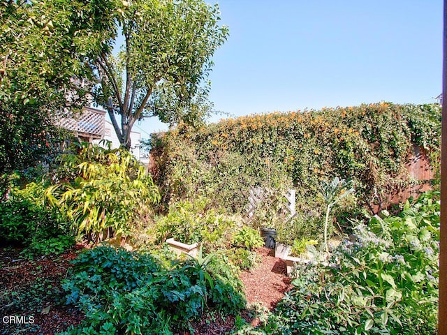 423 N Franklin St, Fort Bragg, CA 95437 - photo 44