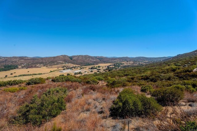 19.3 Swan Rd, Ramona, CA 92065