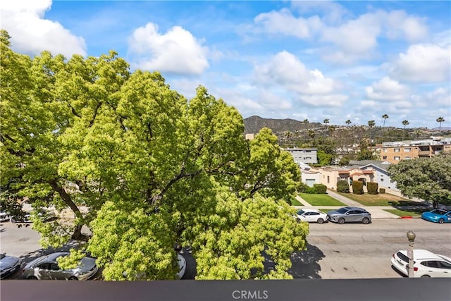 600 W Stocker St Unit 303, Glendale, CA 91202 - mountain view