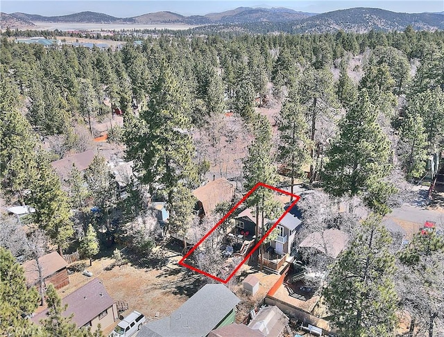 346 San Bernardino Ave, Sugarloaf, CA 92386 - drone / aerial view with a forest view and a mountain view
