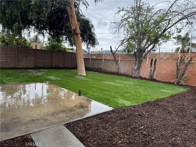 1333 Lancewood Ave, Hacienda Heights, CA 91745 - view of yard