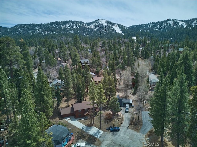 1315 Shasta Ct, Big Bear Lake, CA 92315 - photo 32