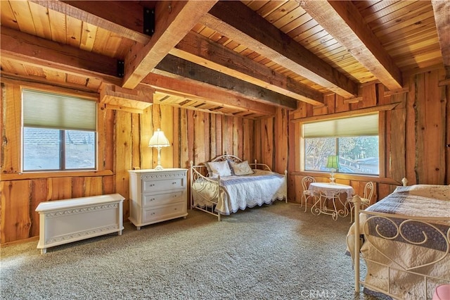 1315 Shasta Ct, Big Bear Lake, CA 92315 - photo 22