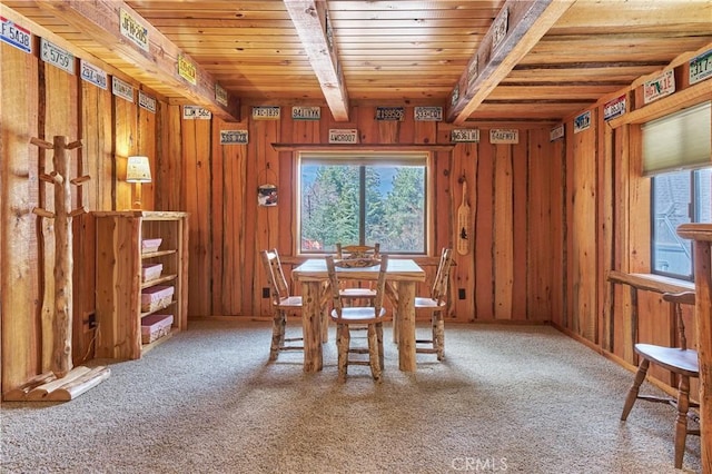1315 Shasta Ct, Big Bear Lake, CA 92315 - photo 17