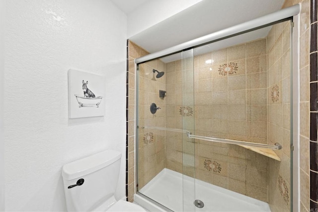 full bathroom featuring a shower stall and toilet
