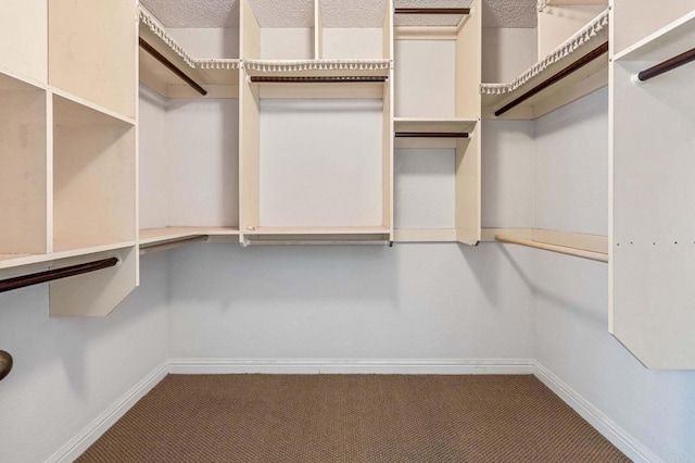 688 Via Encantada, Chula Vista, CA 91913 - spacious closet featuring carpet floors