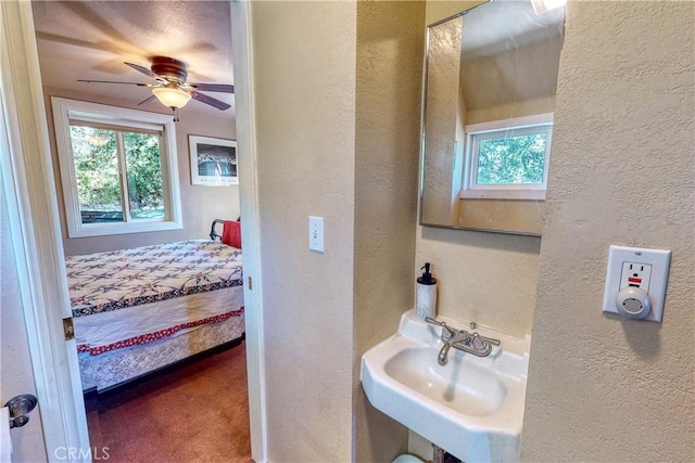 bathroom featuring a textured wall, a wealth of natural light, and a sink