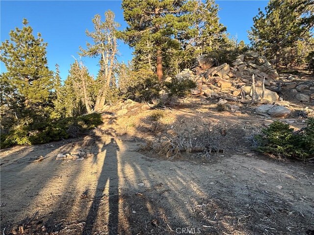 0 Ironwood, Angelus Oaks, CA 92305