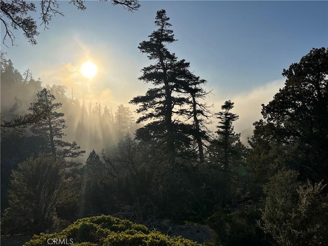 0 Ironwood, Angelus Oaks, CA 92305