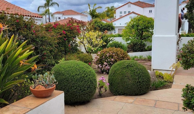 4981 Lamia Way, Oceanside, CA 92056 - view of yard