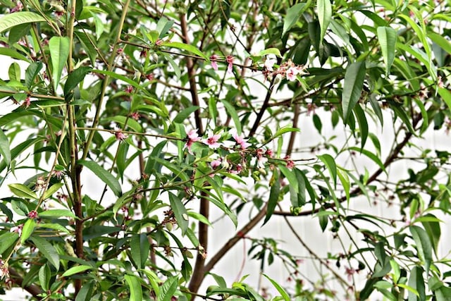 view of details