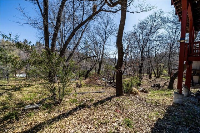 28136 N Bay Rd, Lake Arrowhead, CA 92352 - view of yard