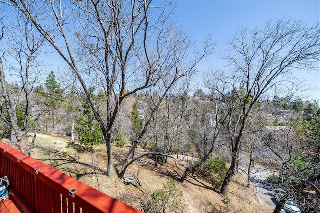 28136 N Bay Rd, Lake Arrowhead, CA 92352 - view of yard