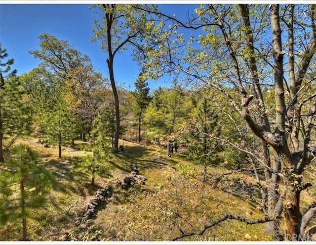 28136 N Bay Rd, Lake Arrowhead, CA 92352 - view of local wilderness