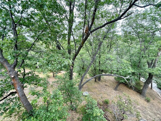 28136 N Bay Rd, Lake Arrowhead, CA 92352 - view of tree filled area
