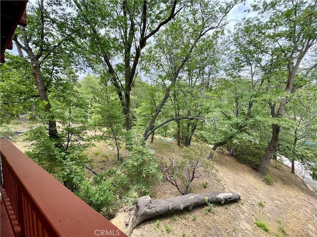 28136 N Bay Rd, Lake Arrowhead, CA 92352 - view of yard