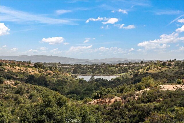 21495 Silvertree Ln, Rancho Santa Margarita, CA 92679 - photo 43