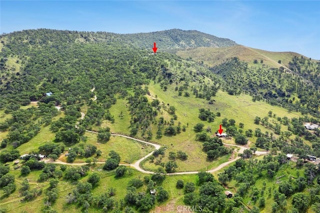 28383 Shady Oaks Rd, Clovis, CA 93619 - drone / aerial view featuring a mountain view