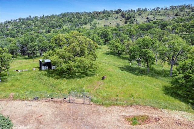 28383 Shady Oaks Rd, Clovis, CA 93619 - birds eye view of property with a rural view