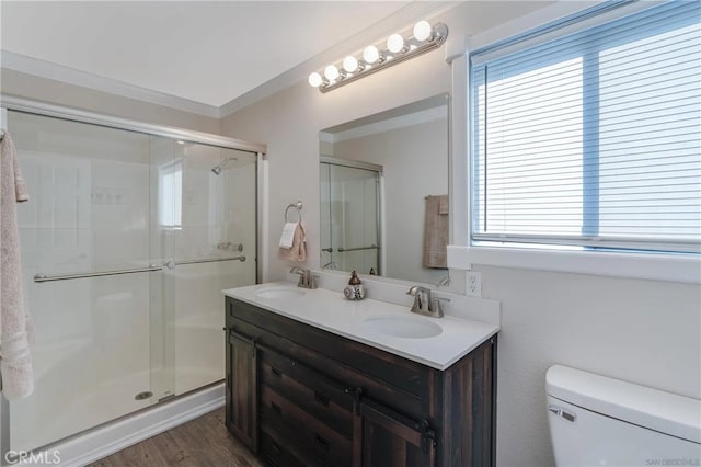 bathroom with a shower stall, a wealth of natural light, and a sink
