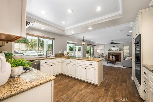 4805 Via Amante, Yorba Linda, CA 92886 - kitchen with a sink, crown molding, stainless steel dishwasher, light stone counters, and dark wood-style flooring