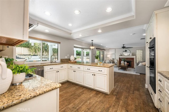 4805 Via Amante, Yorba Linda, CA 92886 - kitchen featuring crown molding, dark wood-style floors, light stone countertops, stainless steel dishwasher, and a fireplace