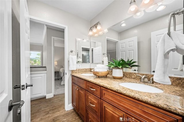 full bathroom featuring wood finished floors, a sink, and double vanity