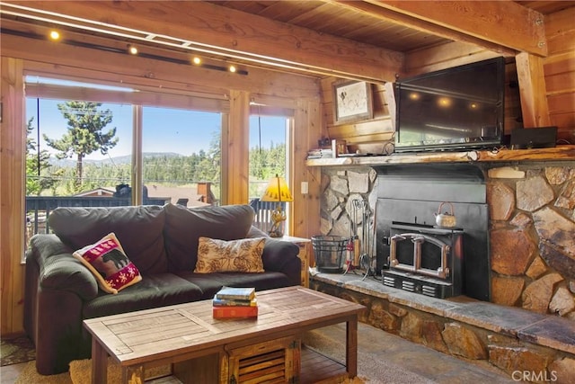 living area with a wood stove, wood walls, a wealth of natural light, and wood ceiling