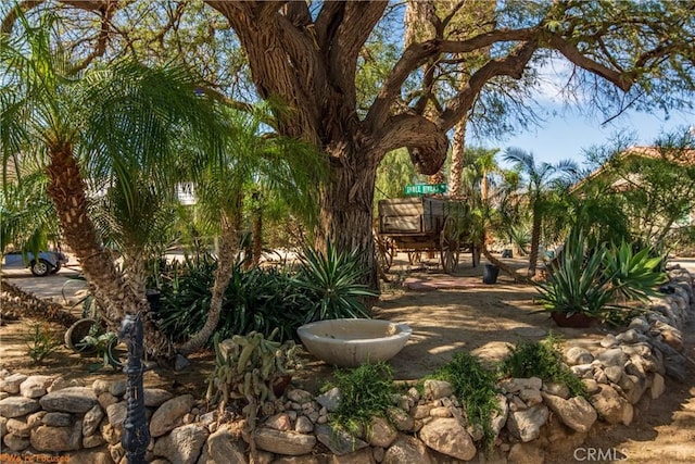 73950 22nd Ave, Desert Hot Springs, CA 92241 - view of yard