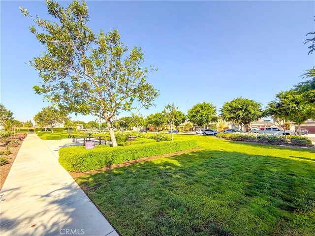 surrounding community featuring a lawn