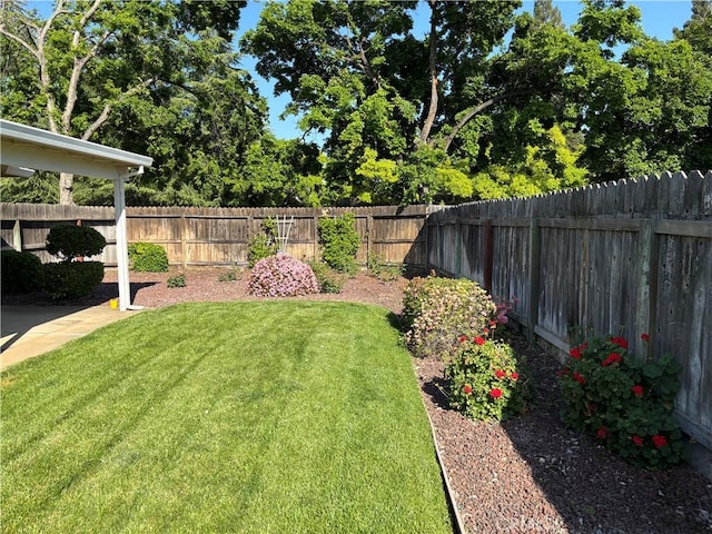 view of yard featuring a fenced backyard