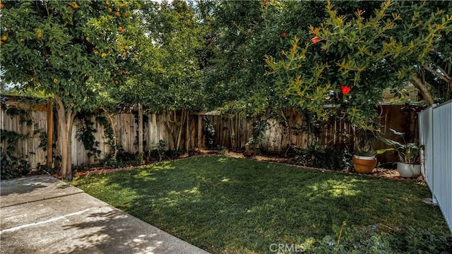 view of yard with a fenced backyard