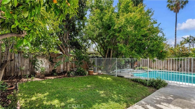 view of yard featuring a fenced backyard and a fenced in pool