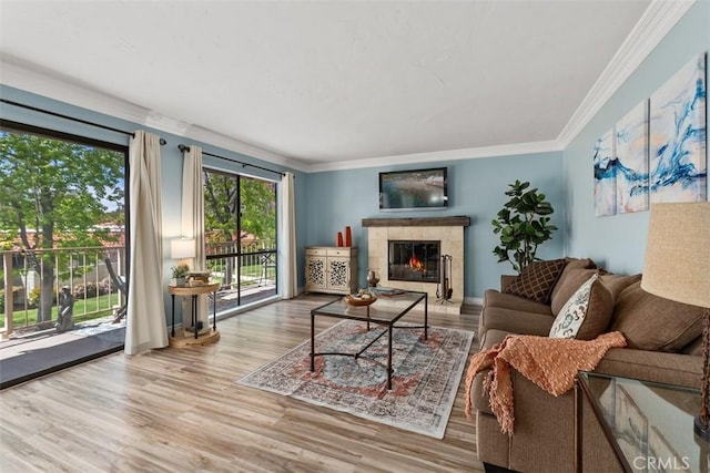 888 Ronda Sevilla Unit D, Laguna Woods, CA 92637 - living area featuring wood finished floors, a fireplace, and crown molding