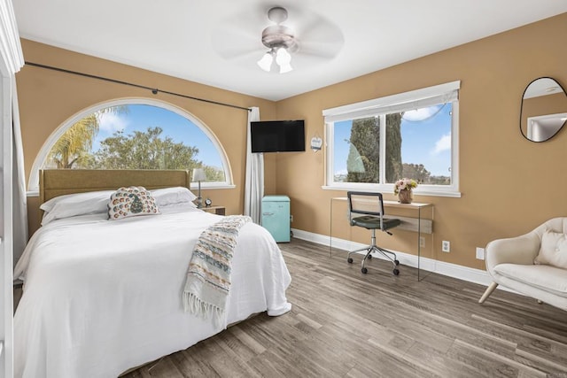 22053 Highland St, Wildomar, CA 92595 - bedroom featuring multiple windows, baseboards, and wood finished floors