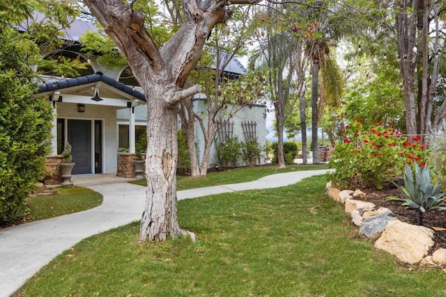 22053 Highland St, Wildomar, CA 92595 - view of grassy yard