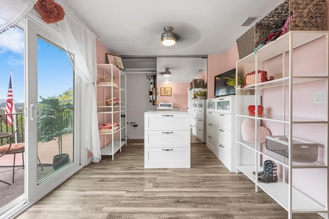 22053 Highland St, Wildomar, CA 92595 - spacious closet featuring light wood-style floors and a ceiling fan