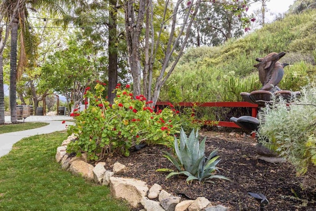 22053 Highland St, Wildomar, CA 92595 - view of yard