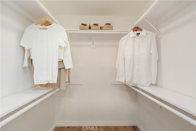 walk in closet with wood finished floors
