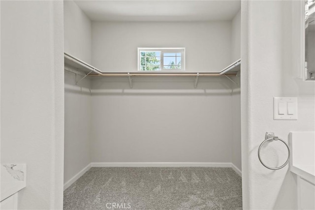 walk in closet with carpet flooring