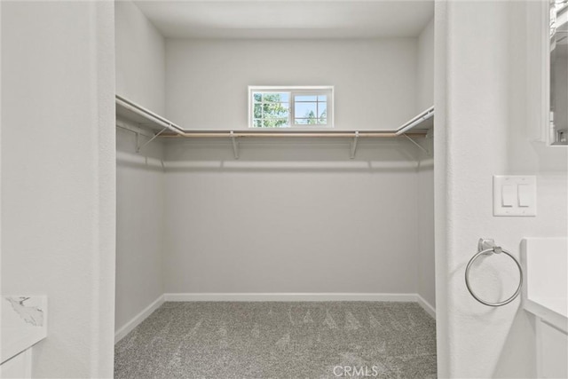 6294 W Wagstaff Rd, Paradise, CA 95969 - spacious closet with carpet floors