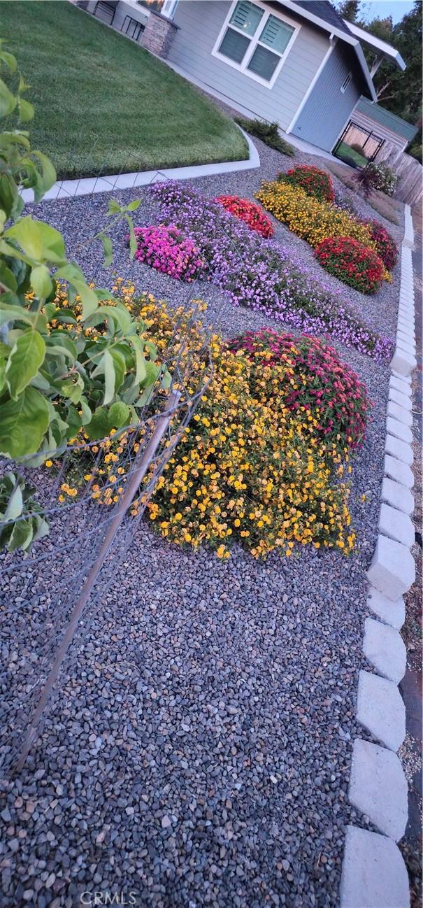 6294 W Wagstaff Rd, Paradise, CA 95969 - view of yard