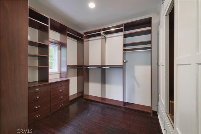 walk in closet with dark wood-style flooring