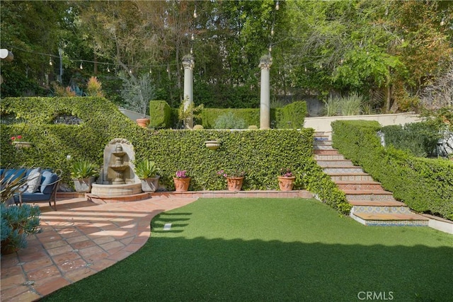 view of yard featuring a patio area