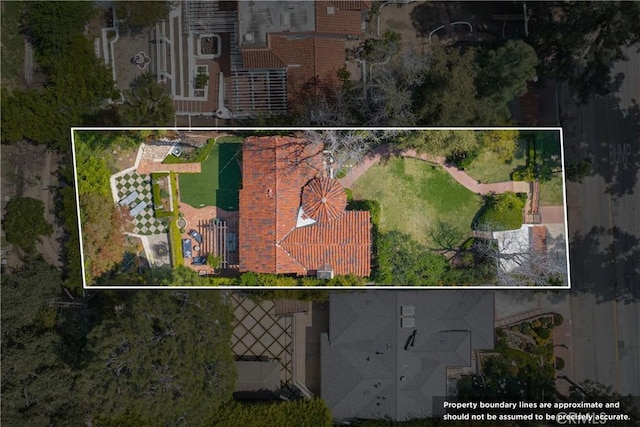 drone / aerial view