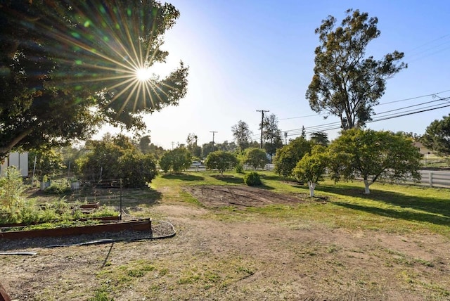 2409 Dehesa Rd, El Cajon, CA 92019 - view of yard with fence and a vegetable garden