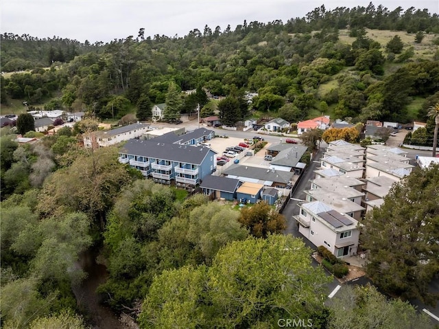 2650 Main St Unit 3, Cambria, CA 93428 - aerial view of a heavily wooded area