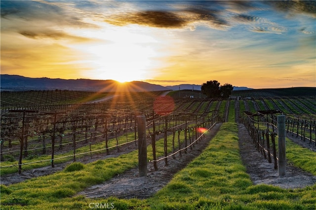 2650 Main St Unit 3, Cambria, CA 93428 - stable with a view of countryside, agricultural plots, and a mountain view