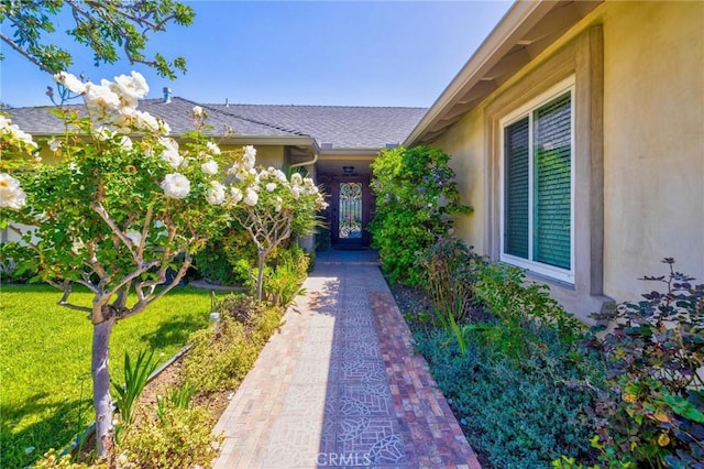 entrance to property featuring stucco siding, a shingled roof, and a lawn