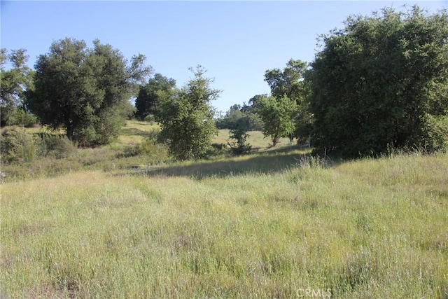 74650 Interlake Rd, Bradley, CA 93426 - photo 3
